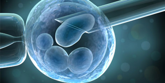 Fecundación artificial