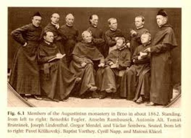 Historia Natural  de Brünn