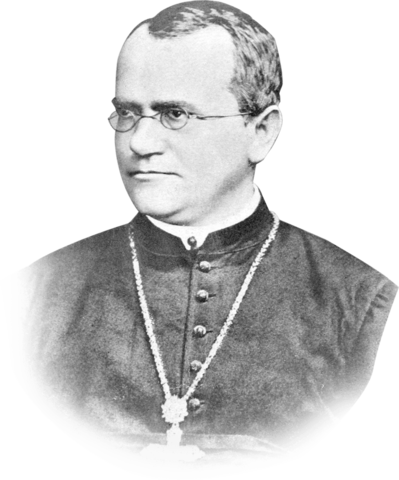 Gregor Mendel