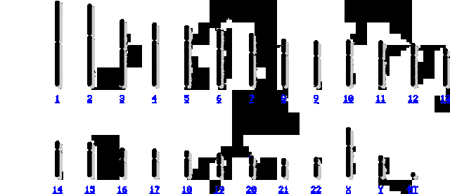 Mapa genético de un cromosoma