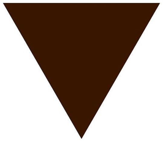 יום הזיכרון להשמדת הצוענים