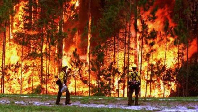 Incendios forestales de Córdoba