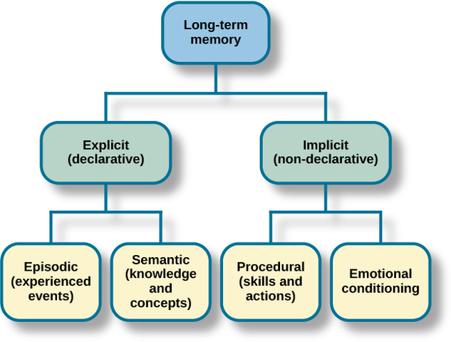 Kinds of Long-Term Memory