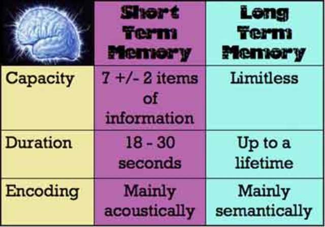Capacity of Long-Term Memory