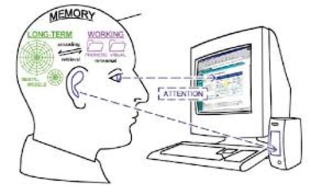 Intrinsic Cognitive Load