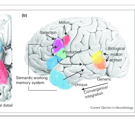 Retrieving Information