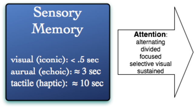 Sensory Memory