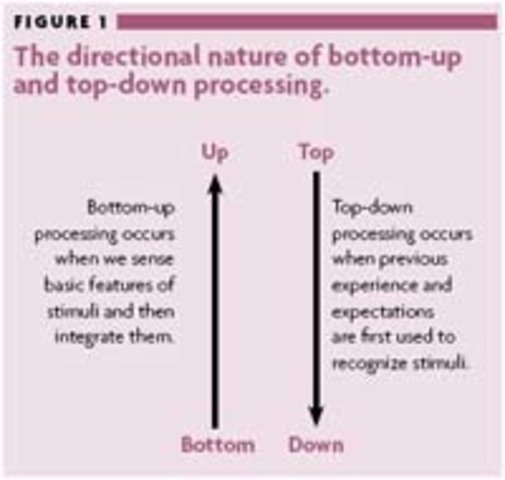 Bottom-Up Processing