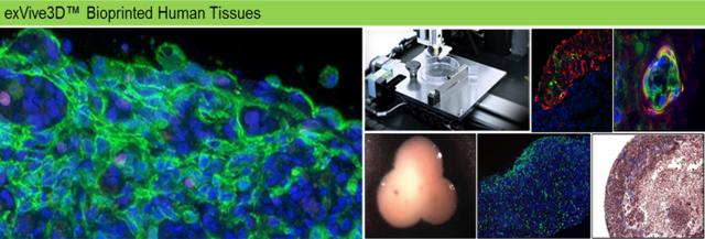 Primera venta de tejidos humanos.