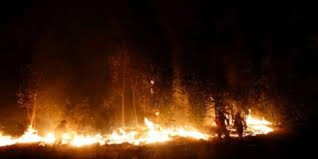 Incendio Forestal en Chile