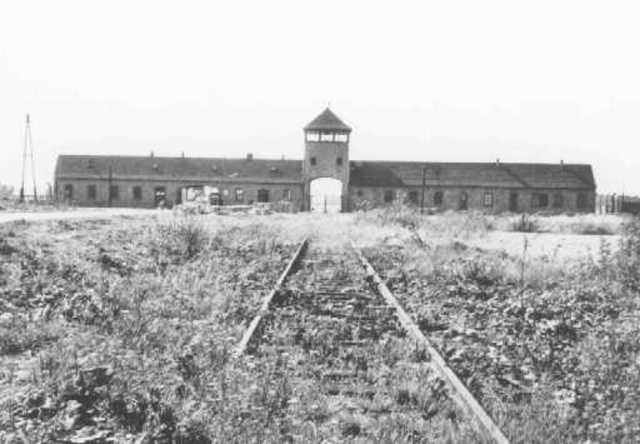 Criação auschwitz