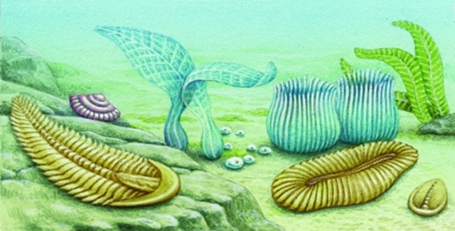 INIZIO ERA ARCHEOZOICA (PRECAMBRIANA)