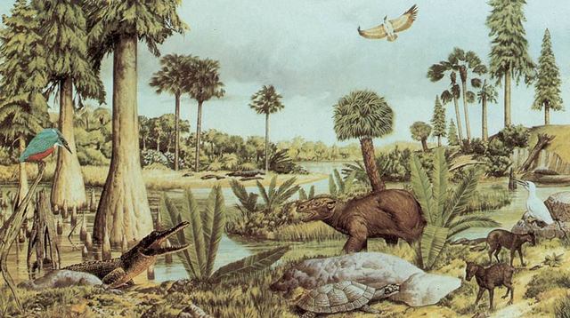 INIZIO ERA CENOZOICA (TERZIARIA)