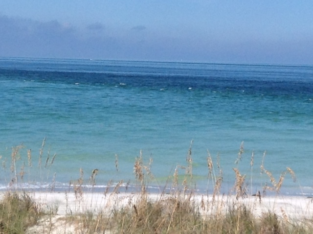 Primera Vez en Flordia