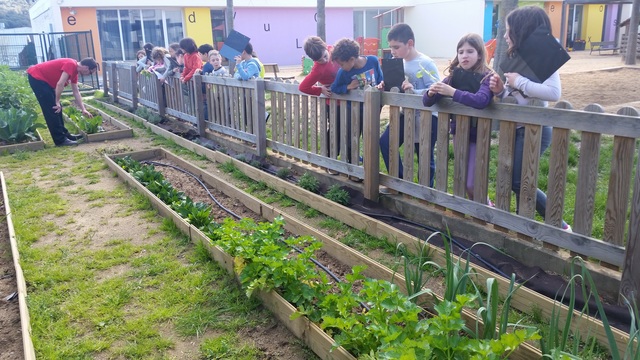 3r-B Manteniment i observació