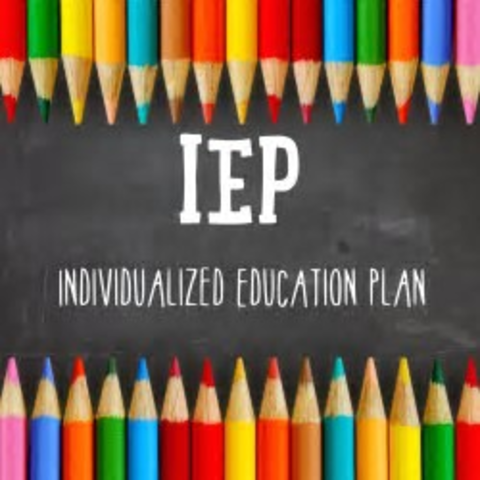 Public Law 101–476, Individuals with Disabilities Education Act (IDEA)