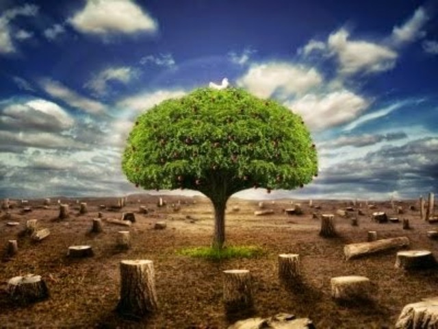 Principales Elementos