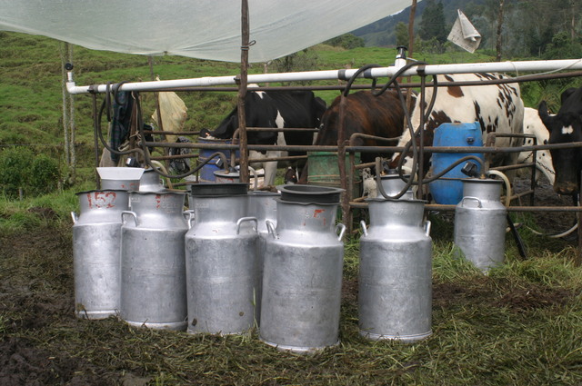 Mejoras en el trabajo