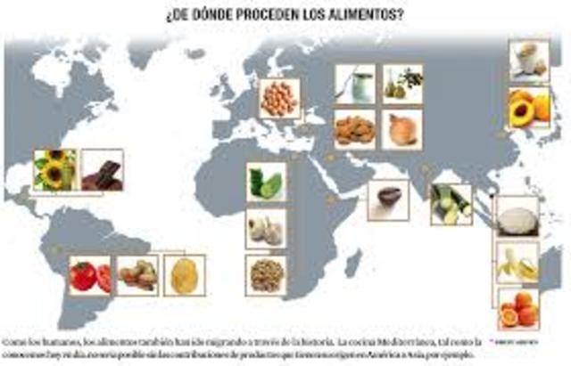 La historia  y geografía.