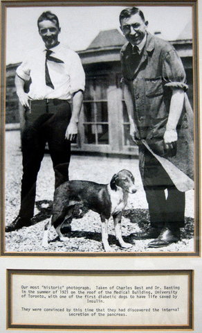 The Discovery of Insulin