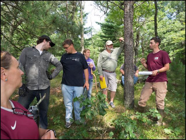 Landowner lottery begins