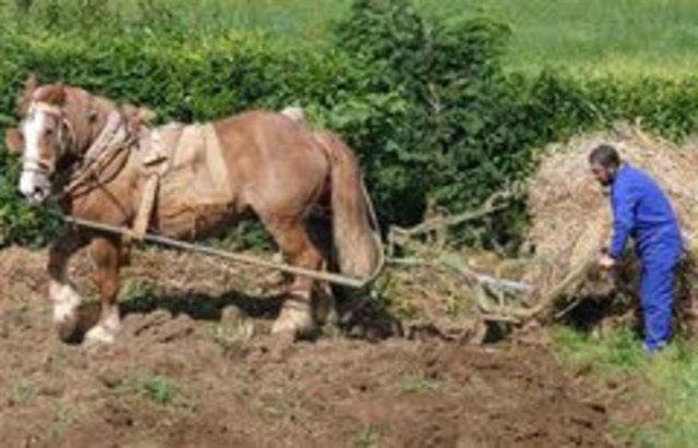 EL ARADO UN INVENTO DE MESOPOTAMIA