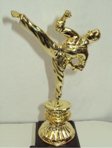 Primer Campeonato de Karate