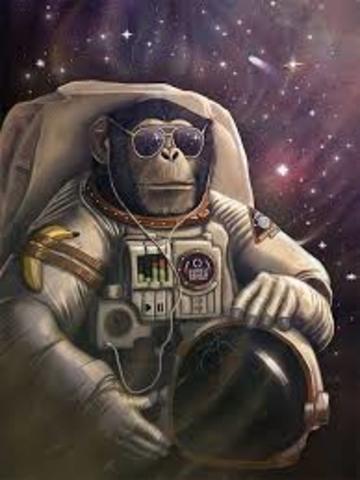 Space Monkey