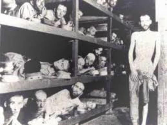 L'orrore dei campi di concentramento