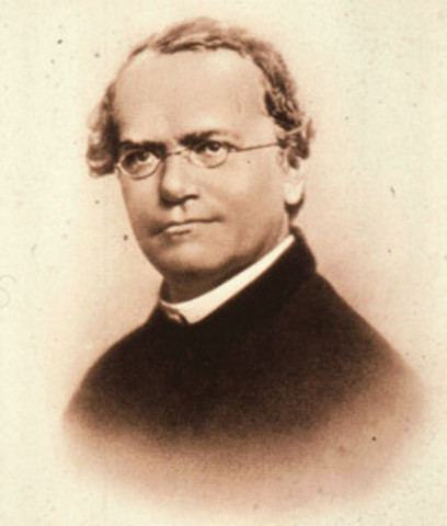 Redescubren el trabajo de Gregor Mendel