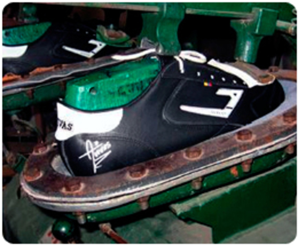 guayos con píel de canguro