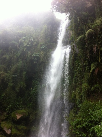 Parque Aventura La Chorrera