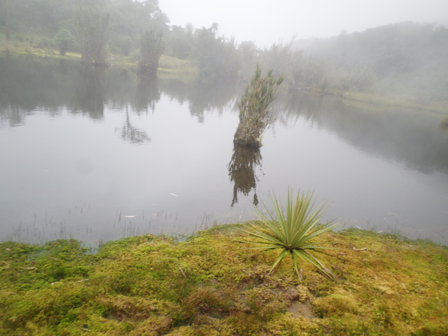 Asociación de turismo rural Maza Fonté