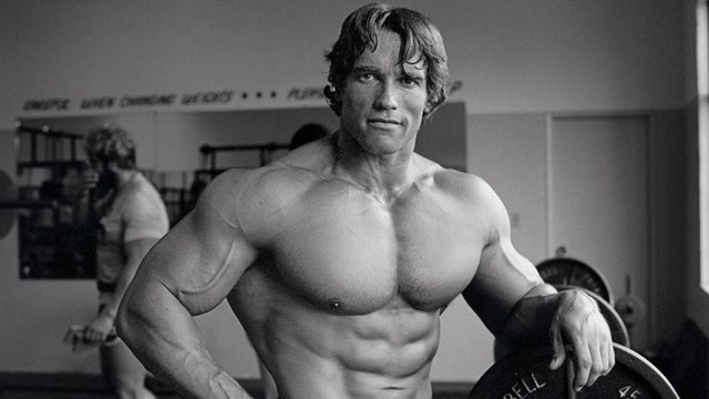 ARNOLD SCHWARZENEGGER