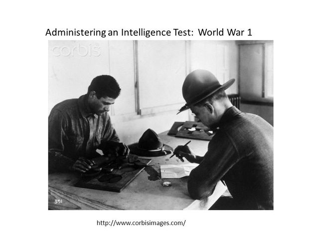Mainstream Use of Intelligence Testing