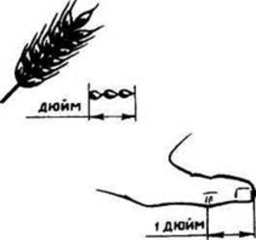 Определение дюйма