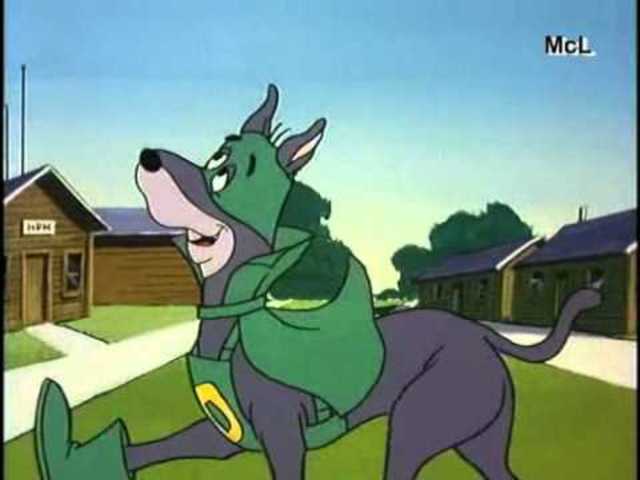 Dinamita, El perro maravilla