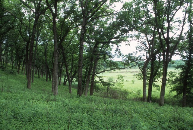 Lulu Lake and Mukwonago River preserved