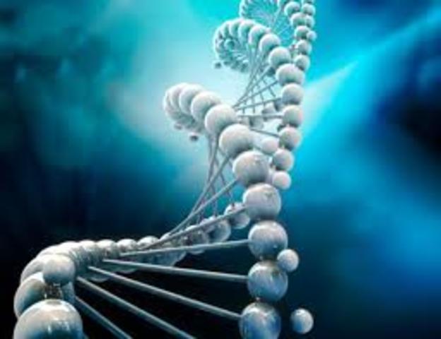 Genes están formados por ADN