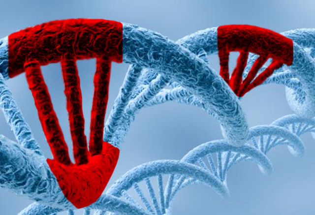 LA MUTACIÓN: CAMBIO EN LA SECUENCIA NUCLEOTÍDICA DE UN GEN