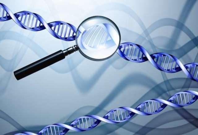 PRIMER BORRADOR DE LA SECUENCIA DEL GENOMA HUMANO