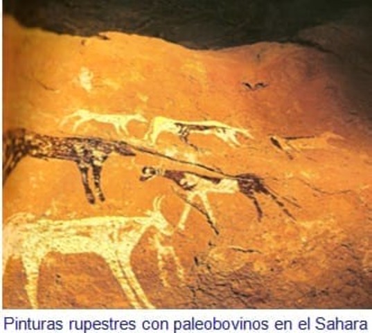 Desierto del Sahara: Nubia