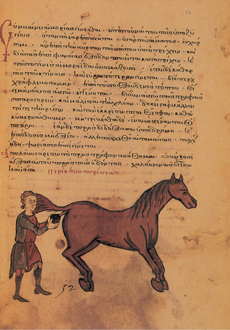 Manual de “hippiatria"