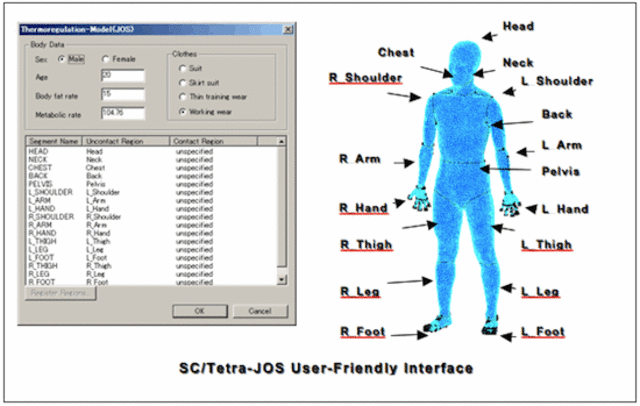 Software Body Image.