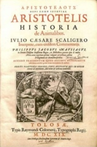 Aristóteles (384-322 a. C.)