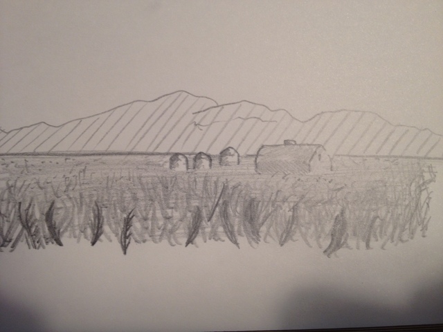 Ukraine fleeing pursecution