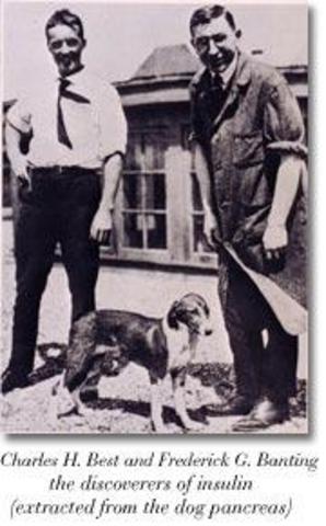 Фредерик Бантинг и Чарльз Бест открыли инсулин и причину диабета