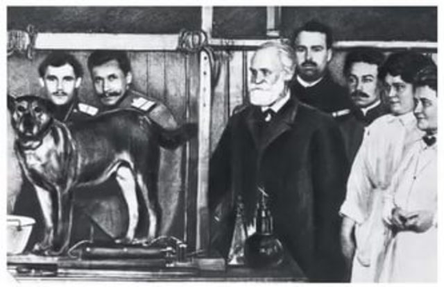 Нобелевская премия в области физиологии и медицины присуждена Ивану Петровичу Павлову за открытие условных рефлексов