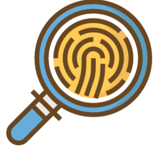 Presentación de Pruebas