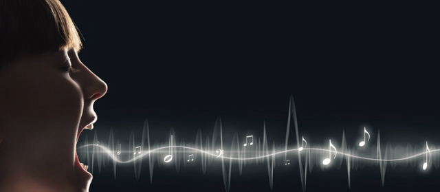 "SISTEMAS DE RECONOCIMIENTO DE VOZ COMERCIAL"